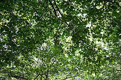 独立游戏《恶魔轮盘》发售仅一周多便卖出超过100万份